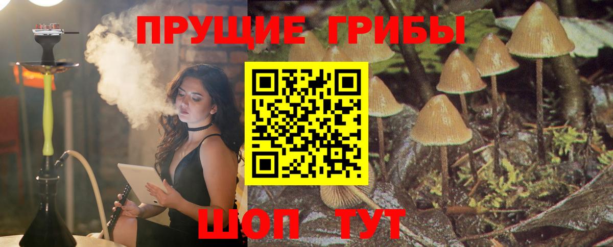 Галлюциногенные грибы GOLDEN TEACHER  Вход с VPN  Псилоцибиновые грибы Cubensis  Десногорск 